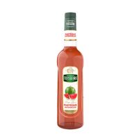 Sirô dưa hấu Teisseire Watermelon – chai 70cl