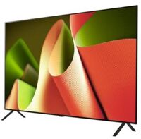 Smart Tivi OLED LG 4K 65 inch 65B5PSA