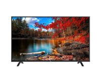 Smart Tivi TCL 4K 49 inch L49P2-UF