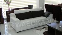 Sofa băng dài D120
