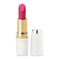 Son Cezanne Lasting Lip Color N #302