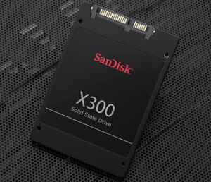 Ổ cứng SSD SanDisk X300 256GB