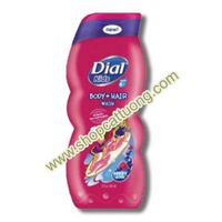 Sữa tắm gội Dial Kids Berry Cool hương Berry cho Bé trên 6 tuổi - 355ml