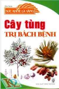 Sức Khỏe Là Vàng - Cây Tùng Trị Bách Bệnh