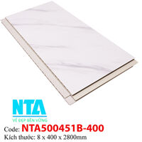 Tấm ốp tường NTA500451B