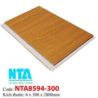 Tấm ốp tường NTA8594