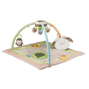 Thảm chơi cho bé Fisher Price X2916