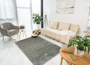 Thảm trải sàn TTS01