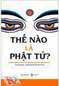 Thế nào là Phật tử