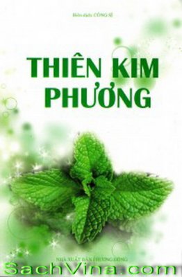 Thiên Kim Phương - Công Sĩ