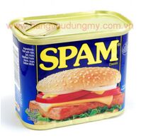 Thịt hộp Spam Classic 340g