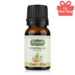 Tinh dầu gừng tinh khiết Lavende Ginger Essential Oil 10ml