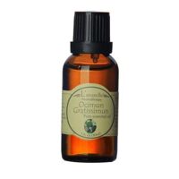 Tinh dầu Hương Nhu Trắng - Ocimun Gratissimum Pure Essential Oil