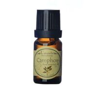 Tinh dầu nguyên chất Long não Camphor Pure Essential Oil - 10ml