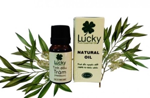 Tinh dầu tràm Lucky 10ml