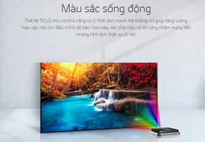 Tivi LED LG 49 inch FullHD 49LJ510