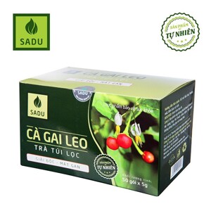 Trà túi lọc cà gai leo Sadu 250g (5g x 50 túi lọc)