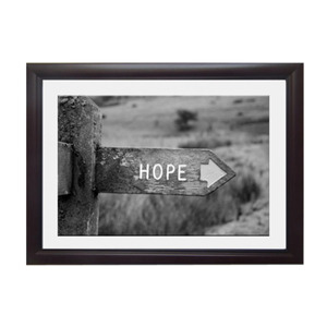 Tranh đơn sắc Hope Vicdecor TDS0001