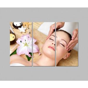 Tranh đồng hồ Spa trang trí DH894A