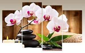 Tranh ghép nghệ thuật hoa lan Spa TNT66