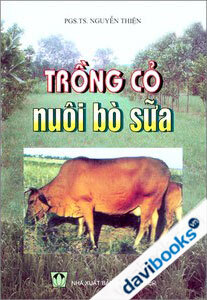 Trồng Cỏ Nuôi Bò Sữa