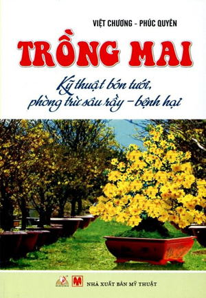 Trồng mai Kỹ thuật bón tưới, phòng trừ sâu rầy