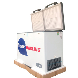 Tủ đông Darling 160 lít DMF-2788A2