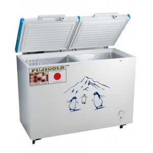 Tủ đông Fujigold 2 ngăn 320 lít FGF-319HBK