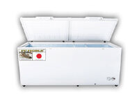 Tủ đông Fujigold 1 ngăn 650 lít FGF-S659MBK