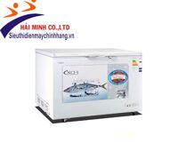 Tủ đông Ixor 1 ngăn 318 lít IXR-318FLG