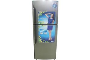 Tủ lạnh Samsung 250 lít RT2BSHMG1