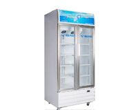 Tủ mát Funiki Hòa Phát 2 cánh 600 lít HSC-850F2