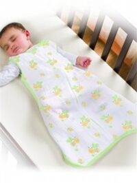 Túi ngủ Bees S Summer SwaddleMe Infant 74750