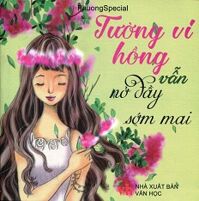 Tường vi hồng vẫn nở đầy sớm mai