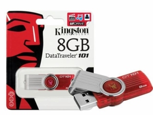 USB Kington DTSE 09 8G