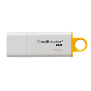 USB Kingston DTIG4 8Gb