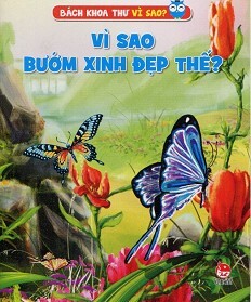 Vì Sao Bướm Xinh Đẹp Thế