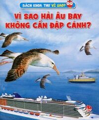 Vì Sao Hải Âu Bay Không Cần Đập Cánh