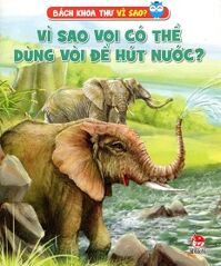 Vì Sao Voi Có Thể Dùng Vòi Để Hút Nước