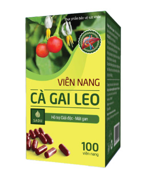 Viên Nang Cà Gai Leo Sadu Hộp 100 Viên