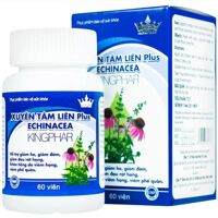 Viên Uống Giảm Viêm Họng, Viêm Phế Quản Xuyên Tâm Liên Plus Echinacea Kingphar 60 Viên