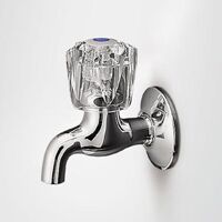 Vòi xả lạnh Hàn Quốc Royal ToTo RFV100AB2