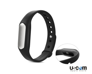 Vòng đeo tay Xiaomi Mi Band and Pulse