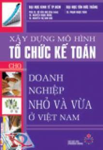 Xây dựng mô hình tổ chức kế toán cho doanh nghiệp nhỏ và vừa ở Việt Nam