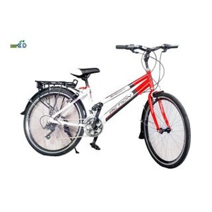 Xe đạp địa hình 24MTB-ACTION