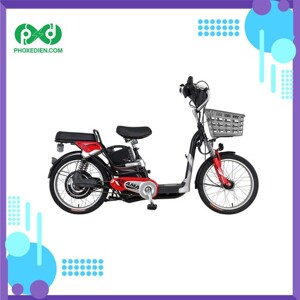 Xe đạp điện Asama EBK RY2001