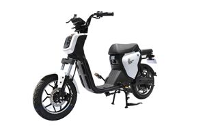 Xe đạp điện DKbike Sparta