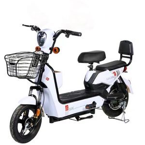 Xe đạp điện Gicinu SK8