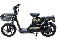 Xe đạp điện Nishiki A10