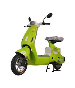 Xe đạp điện Tailg GR55